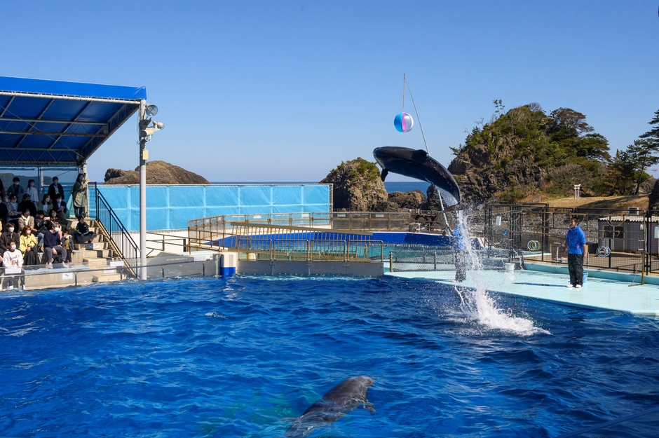 ※越前松島水族館