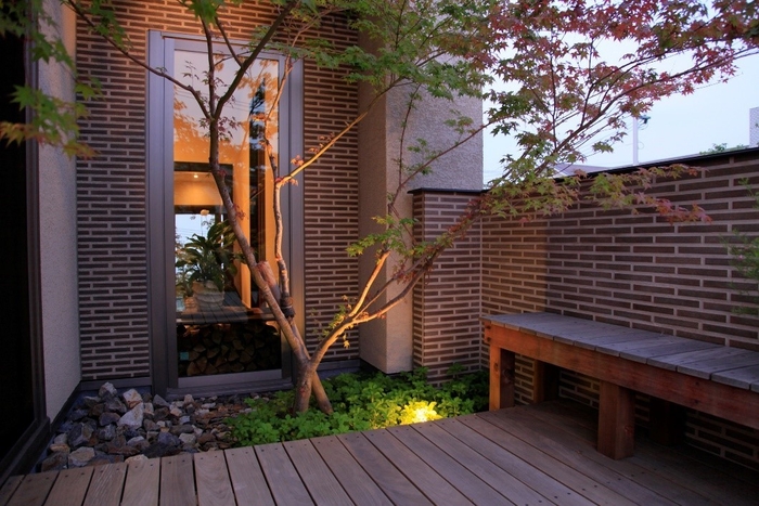 紅葉が美しいイロハモミジ