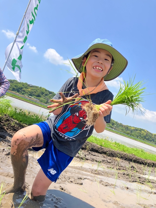 田植えをしている子どもたち 2