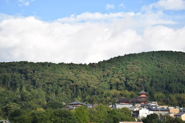 荒廃が進む京都三山の「東山」を、文化育む「共生の森」へ 　クラウドファンディング開始