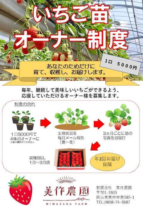 いちごの苗オーナー権