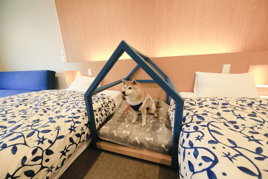 愛犬と一緒にご宿泊いただける4タイプの客室