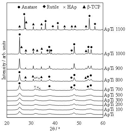 Fig. 3 アパタイト被覆酸化チタン(ApTi;数字は加熱温度)を焼成して得られた各試料のXRD図形
