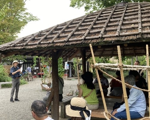 野草ウォッチング（昨年の様子）