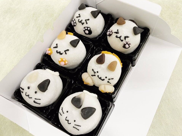 可愛いねこ大福6個/税込価格: 3,980 円