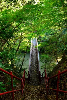 奥房総の秘境橋