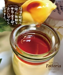 【プリン好き必見‼】沼津ブランド認定「Fattoria(ファットリア)」が、ららぽーと沼津に期間限定出店10/18(火)～10/30(日)!!「伊豆の自慢プリン大集合」10/23(日)!!