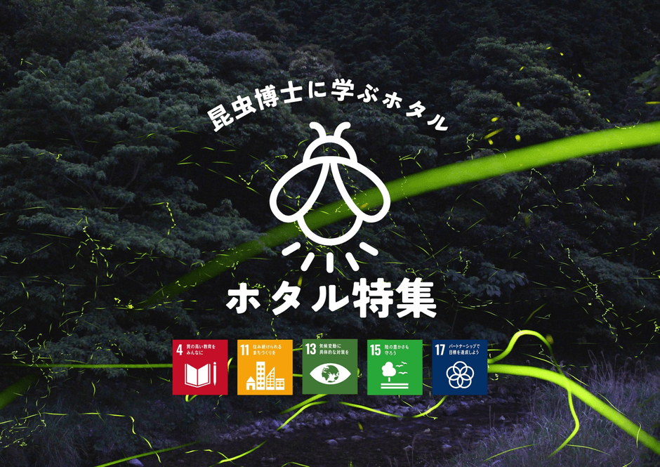 昆虫学博士に学ぶ ”ホタル” 」スペシャルWEBコンテンツ公開