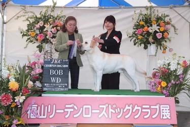 岡山理科大学専門学校　学生２人がドッグショー「福山リーデンローズドッグクラブ展」で第１席／犬とペアで息の合った動き見せる