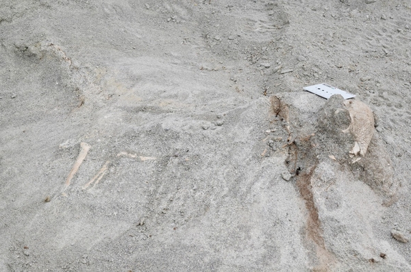 ザヴァケファレの産出現場＝研究グループ提供