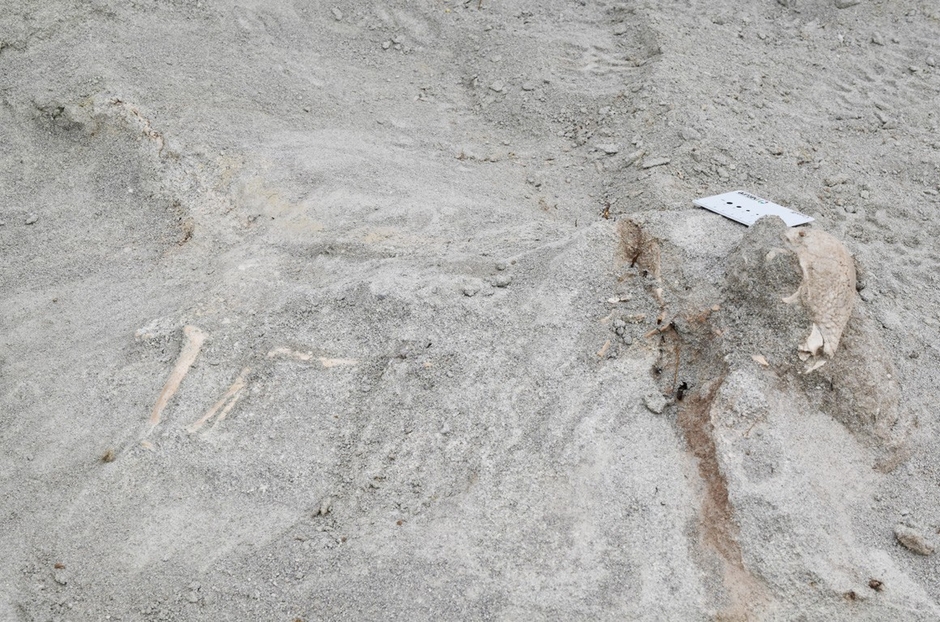 ザヴァケファレの産出現場=研究グループ提供