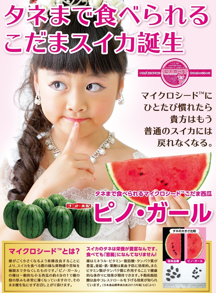 マイクロシード(R)小玉スイカ「ピノ・ガール」チラシ