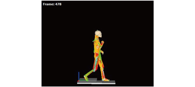 動作分析データ・一例