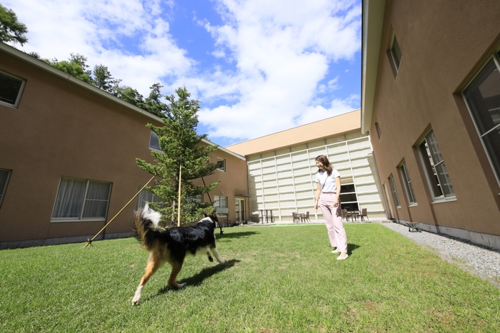 わんちゃんと一緒にのびのびとお過ごしいただける当館