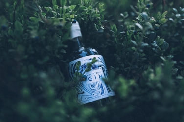 フィンランドの大自然をボトルに詰め込んだプレミアムジン 「Arctic Blue Gin -アークティック ブルー ジン-」 取り扱い開始！