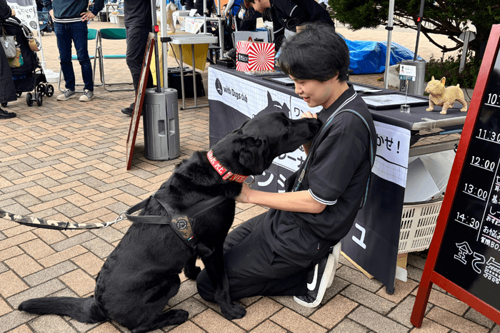 ドッグトレーナーと一緒に体験