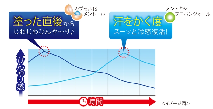 2種類の冷感成分配合！ひんやり感を長時間持続！