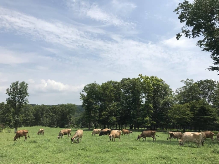 (写真提供:森林ノ牧場)