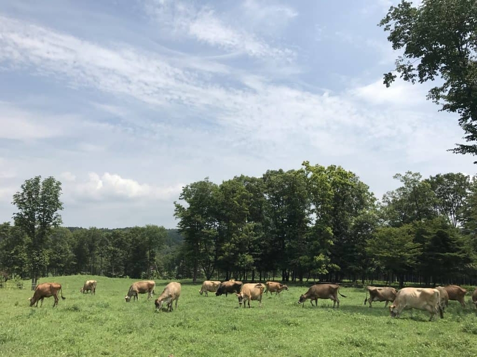 (写真提供:森林ノ牧場)