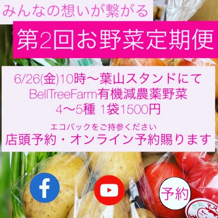 第2回お野菜定期便のお知らせ 1