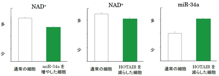 研究成果2