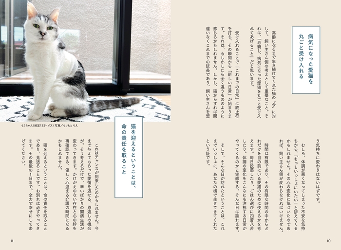 中身1