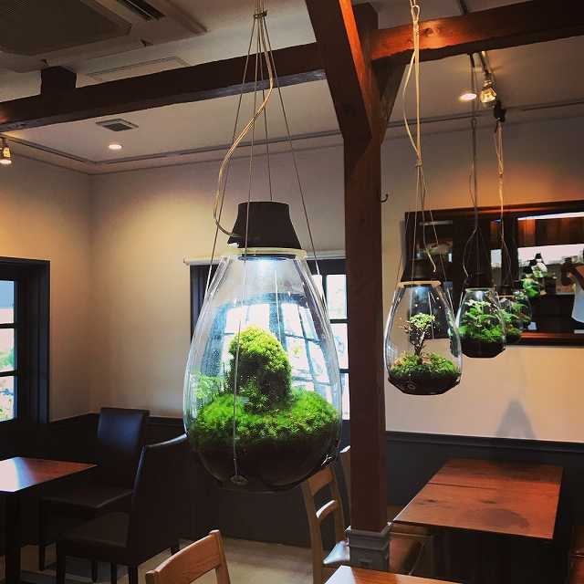 Mosslight-LED 内野氏作品 1