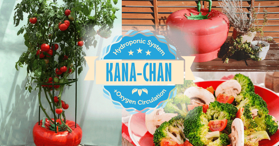 「ホームハイポニカ果菜ちゃん」(2)