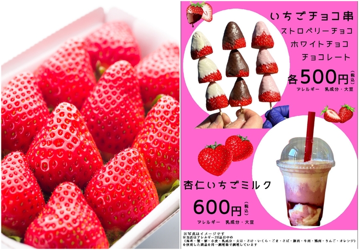 山梨・道の駅なんぶの苺フェア