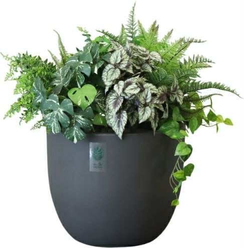 防災課長木下そなえ(2)