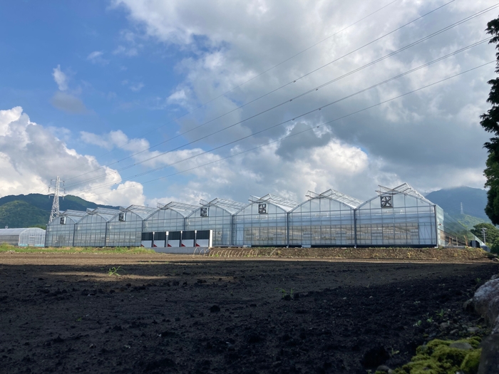 図3:アグリガスコムの植物工場