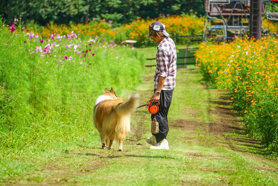 花園を散歩