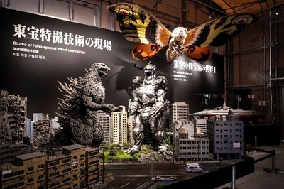▲貴重な展示の数々を鑑賞しよう！