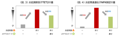 (図.3) 炎症調節因子TET2の量/(図.4) 炎症関連遺伝子NFKBIZの量