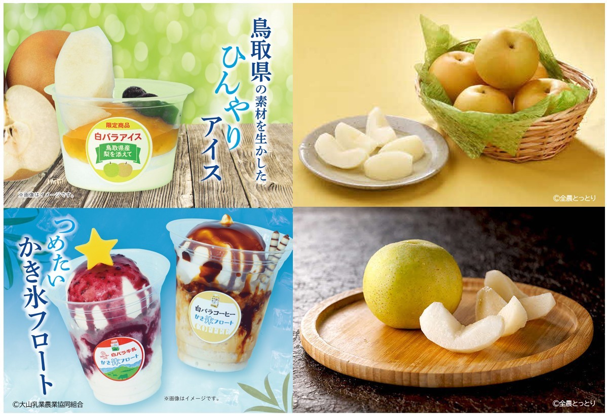 大阪・関西万博で『とっとりフェス』第２弾！ご当地グルメの物産展など、8月19日（火）から25日（月）まで関西パビリオン多目的エリアで限定開催