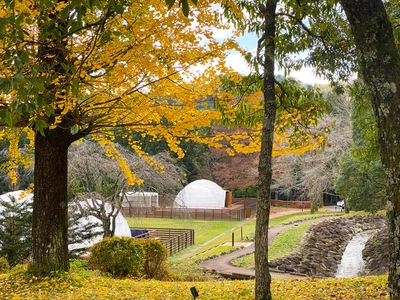 栃木のグランピングリゾート「ブリリアントヴィレッジ日光」にて 紅葉や幻想的なイルミネーションを楽しめる秋冬プランを販売！