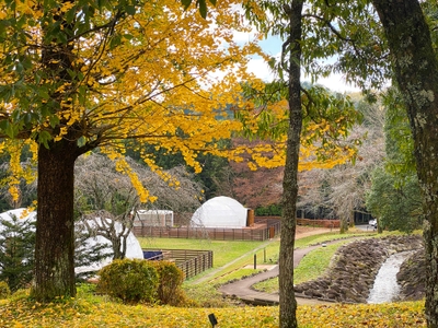 世界遺産と大自然に恵まれた日光市で秋の紅葉を満喫!