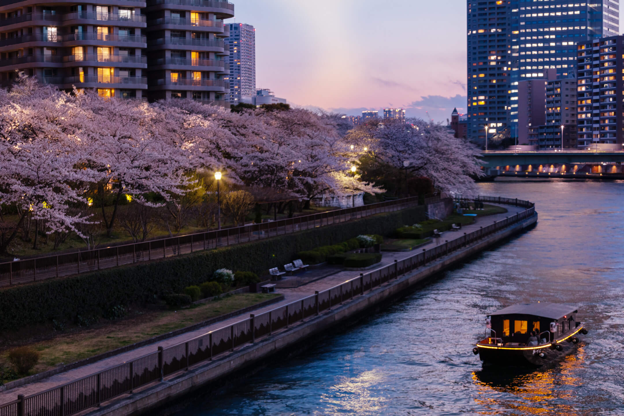 星のや東京　人力車と貸切舟から夜桜を楽しむ「東京・夜桜舟あそび」開催　期間：2020年3月25日～4月10日