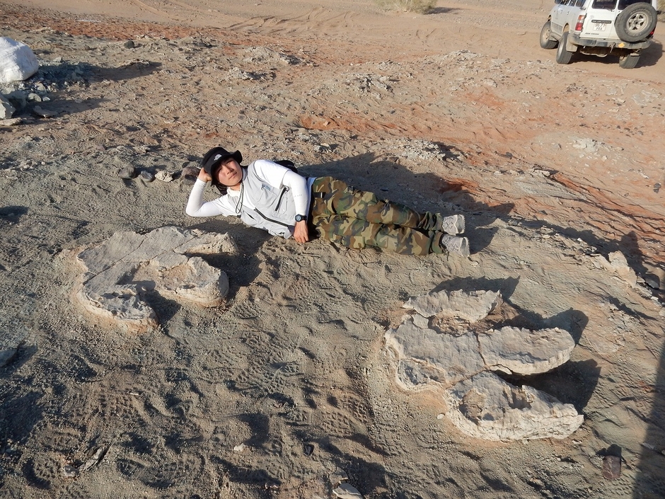 大型鳥脚類の足跡化石