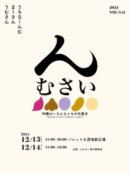 沖縄の芋を楽しむイベント『んむさい』を 那覇市久茂地のパレット久茂地前広場『ウフルーフ』にて 12月13日(金)と14日(土)に開催