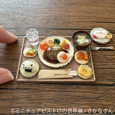 グッズ:さかなさん