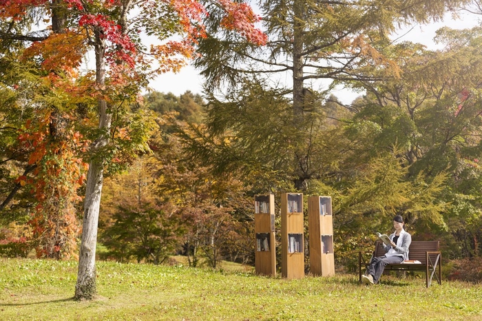 【星野エリア】紅葉図書館　カラマツの丘