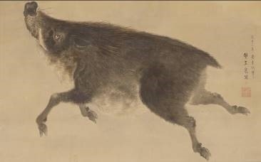 猪図 望月玉泉筆 江戸時代 個人蔵