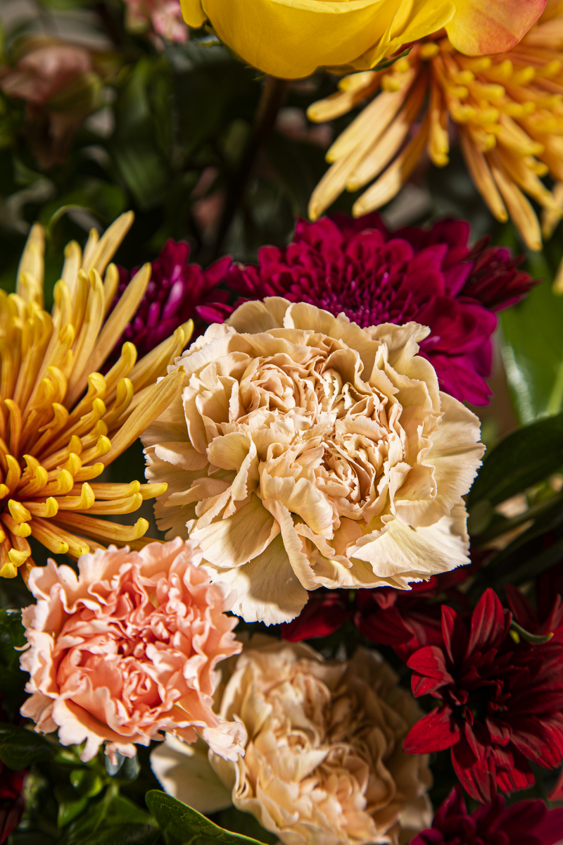 Reconnect』－ 日本とつながるコロンビアの花 － | NEWSCAST