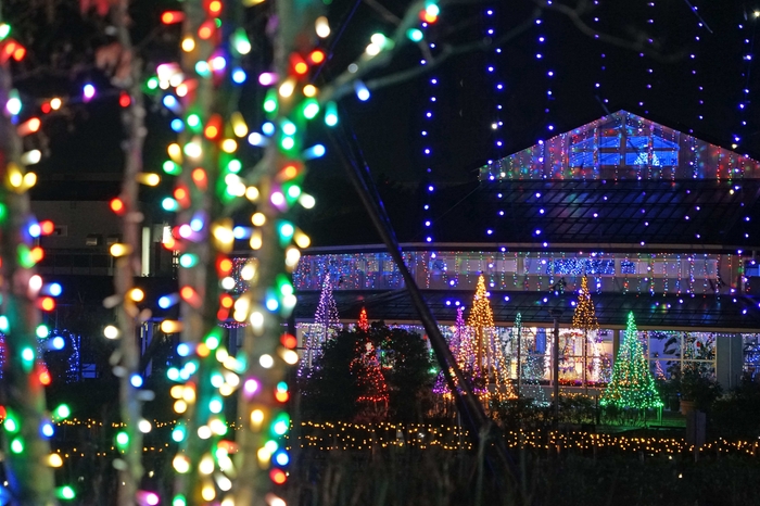 イルミネーションの様子2