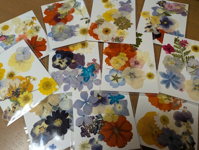お花のしおり~花材