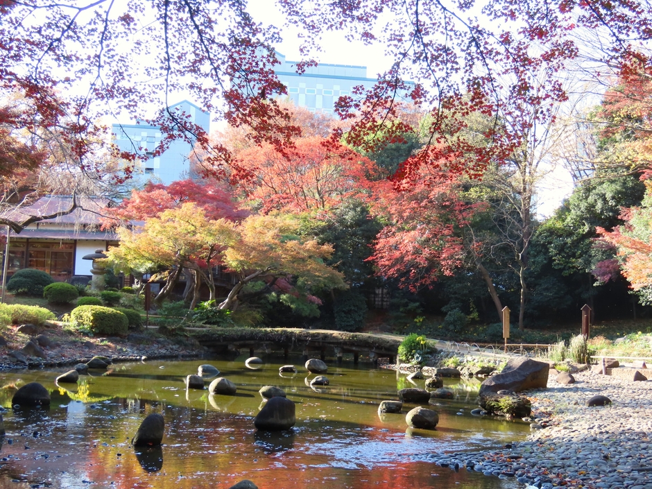 西湖の堤周辺(11月29日撮影)