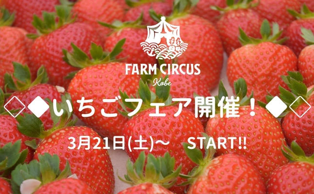 3月21日(土)～ START◆◇ 限定グルメ、いちご狩り、いちごマルシェを楽しむ！ FARM CIRCUSで“いちごフェア”開催