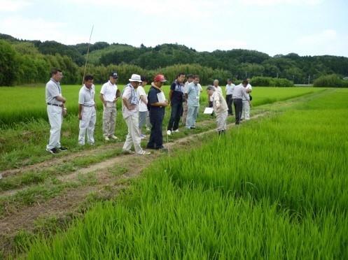 栽培指導会