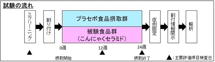 試験の流れ